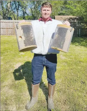  ?? (Special to the NWA Democrat-Gazette/Kris Parks) ?? Caleb Hutcherson, a UA student and Farmington High graduate, shows honeybee swarms he’s moving to the family farm just outside Prairie Grove.