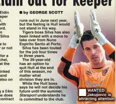  ??  ?? WANTED: Jakupovic is attracting attention