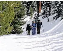  ?? ?? Wer durch den dicken Schnee bergauf zur Sisters Cabin stapft, kommt in einer halben Stunde höchstens einen Kilometer weit.