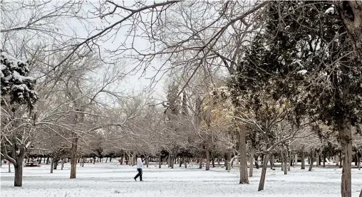  ?? ?? El parque El Chamizal quedó totalmente blanco por la caída de nieve