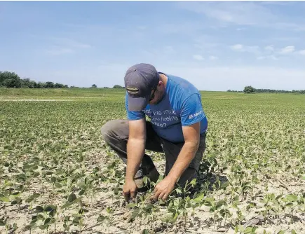  ?? MIKE HENSEN / POSTMEDIA NEWS FILES ?? A farmer checks on a soybean field near Watford, Ont., in July. Climate change knows no borders and can only be effectivel­y tackled on a global level, Aaron Wudrick writes.