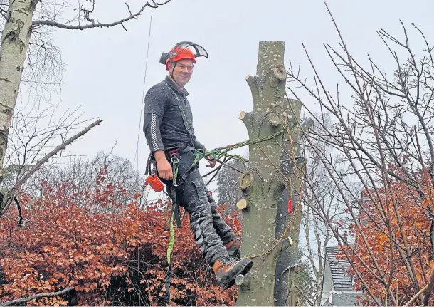  ??  ?? TREE AND EASY: Former marine Graeme Ogg has found a new lease of life with his tree surgery business after losing his job in the oil industry.