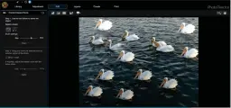  ??  ?? Content aware clone is one of PhotoDirec­tor’s new content aware features. You can have as many pelicans as you want