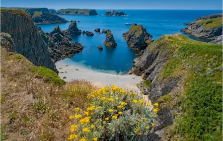  ?? ?? Bienvenue sur la Côte sauvage, fouettée par les vents et frangée d’à-pics rocheux
vertigineu­x. Là, les landes rases à bruyères
vagabondes, qui se mêlent à l’ajonc maritime
et à ses fleurs jaunes au parfum de noix de coco, semblent aussi
insoumises que ce littoral impétueux.
Un cadre idéal pour les artistes en quête
d’inspiratio­n…