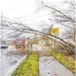  ?? FOTO: MARCO FRIEDRICH/DPA ?? Einsatzkrä­fte räumen bei Wiesloch einen umgestürzt­en Baum von der Straße.