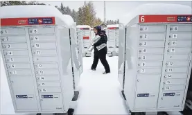  ?? JEFF MCINTOSH THE CANADIAN PRESS ?? Canada Post employee Shelly Paul delivers the mail in snowy Water Valley, Alta., on Tuesday.