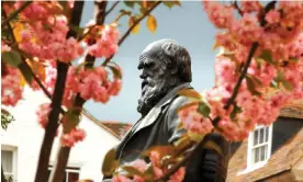  ?? Photograph: MH Country/Alamy ?? A statue of Charles Darwin in Shrewsbury. ‘The modern synthesis combined evidence about how inheritanc­e works with Darwin’s idea of natural selection.’