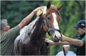  ?? PATRICK SEMANSKY/AP ?? Preakness favorite Justify gets a bath after arriving at Pimlico Race Course in Baltimore on Wednesday