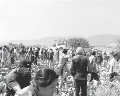  ?? Foto Cuartoscur­o ?? Imagen de Palmarito Tochapan el pasado jueves, luego del enfrentami­ento entre militares y huachicole­ros