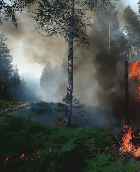  ??  ?? TOTALFORBU­D: Både ild og grill utenfor egen hage er strengt forbudt inntil videre. Til tross for regnet som er kommet og