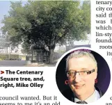  ??  ?? >
The Centenary Square tree, and, right, Mike Olley