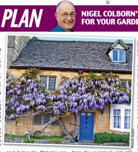  ?? NIGEL COLBORN’S ESSENTIAL JOBS FOR YOUR GARDEN THIS WEEK ??