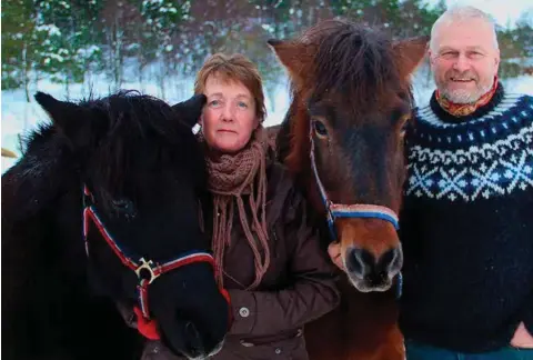  ?? FOTO: ØYSTEIN MOI ?? Dei he nok å henge fingrane i, Alv og Inger Liv. Kvar dag, året rundt. 140 storfe, 400 grisar, 300 sauar, 70 islandshes­tar – og ein velfødd Border Collie skal alle ha nok mat, godt stell og kjaerleg omtanke.