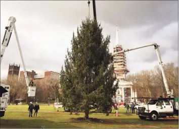  ?? Brian A. Pounds / Hearst Connecticu­t Media ?? A replacemen­t Christmas tree for the one felled during a storm is installed on the Green in New Haven on Dec. 2. The city’s tree lighting ceremony was virtual this year due to COVID-19.