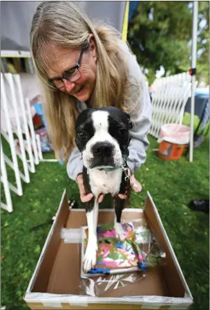  ?? CHRIS RILEY — THE REPORTER ?? Janis Daly helps 4-year-old Boston terrier, Dink, paint a picture at the Vallejo Dog Training Club booth at the Poochella dog festival put on by the Greater Vallejo Recreation District at City Park in Vallejo on Saturday.