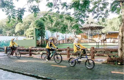  ?? ALFIAN RIZAL/JAWA POS ?? DIMINATI: Pesepeda melintas di depan kandang unta. KBS membuka layanan gowes to zoo pada akhir pekan.