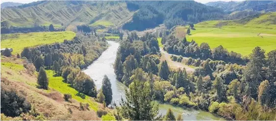  ?? Photo / Moana Ellis ?? The Whanganui River, just south of Taumarunui.