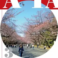  ??  ?? UENO PARK One of Tokyo’s earliest public spaces was created in 1873 and is one of the best places to see rows of cherry trees in full blossom during the month of April. This expansive park is a popular place for family picnics, and is home to a range...