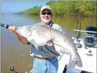  ??  ?? Guide James Patterson of Bartlett, Tenn., caught this nice Mississipp­i River blue catfish downstream from West Memphis.