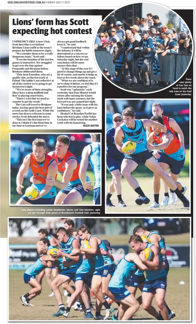  ??  ?? Cats players including Lachie Henderson, above, and Tom Hawkins, right, are put through their paces at Broadbeach Football Club yesterday. There were plenty of Cats fans on hand to watch the side train on the Gold Coast yesterday.