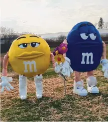  ?? Billy Beaumont/Contribute­d photo ?? Billy Beaumont said the M&M character that was stolen from Beaumont Farm in Wallingfor­d sometime in May. Beaumont said he just wants the missing M&M back, no questions asked.