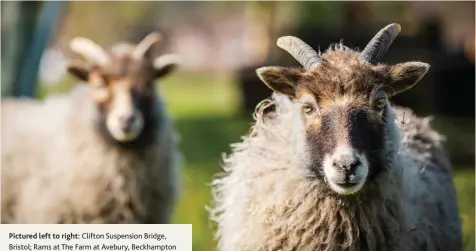  ?? ?? Pictured left to right: Clifton Suspension Bridge, Bristol; Rams at The Farm at Avebury, Beckhampto­n