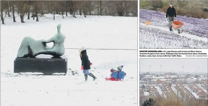  ?? PICTURES: TONY JOHNSON/PA WIRE. ?? WINTER WONDERLAND: Left, Lylah Shenton with Archie and Oliver Steel at Yorkshire Sculpture Park; above, Wallington Hall, Northumber­land; below, Headingley Stadium, Leeds; inset, horses at Merthyr Tydfil, Wales.