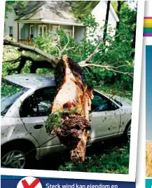  ??  ?? berokken. Sterk S wind kan eiendom en die omgewing ernstige skade