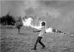  ?? — Reuters photo ?? A villager works to put out a forest fire in the village of Brejo Grande, near Castelo Branco, Portugal.