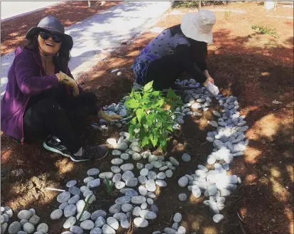  ?? PHOTO BY ANNE GELHAUS ?? Diquon Gong, left, and another volunteer help lay down river rocks in a native garden she and several volunteers planted Feb. 15at West Valley Community Services. Gong is a student in Foothill College’s horticultu­ral program along with project leader Shelkie Tao, founder of Water Efficient Gardens in Cupertino.