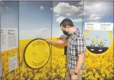  ?? Photos by Matthew Liebenberg/Prairie Post ?? Swift Current Museum Collection­s Officer William Shepherd looks at a spinning wheel in the exhibition that provides informatio­n about what canola needs to grow healthy and strong.