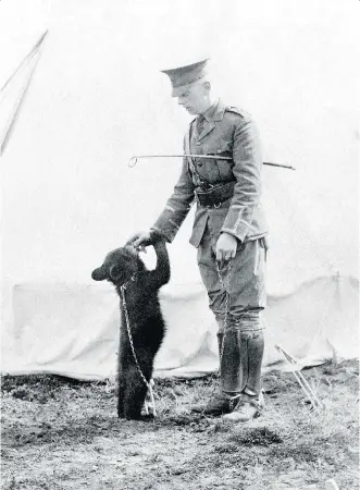  ??  ?? Winnie the bear cub was adopted by Harry Colebourn, a veterinari­an serving in the Canadian Army Veterinary Corps.