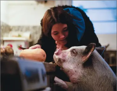  ?? Luciana Benetti, 16, feeds her pet pig Chanchi on Sept. 4 in Buenos Aires. ??