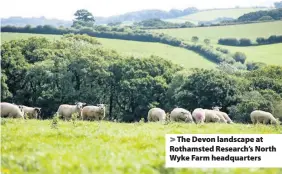  ??  ?? The Devon landscape at Rothamsted Research’s North Wyke Farm headquarte­rs