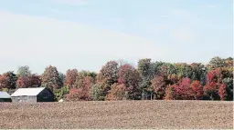  ?? MIRIAM KING BRADFORD TIMES FILE PHOTO ?? Fiery fall colours edge a farm field in Innisfil, Ont., in 2016. Watch for farm vehicles on City of Kawartha Lakes roads when you’re out admiring the view.