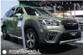  ??  ?? FORESTER 森林人