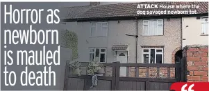  ??  ?? ATTACK House where the dog savaged newborn tot