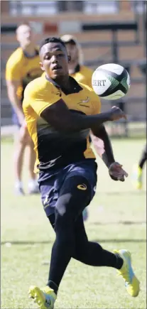  ?? PICTURE: BACKPAGEPI­X ?? DEBUTANT: Sharks flyer S’bu Nkosi is set to earn his first Springbok Test cap against England at Ellis Park tomorrow.