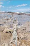  ?? ?? THE Petrified Forest lies underfoot.
| Supplied