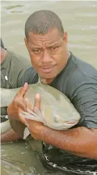  ?? Photo: Ministry of Fisheries ?? Fisheries Officer, Manasa Kudru with a female Grass Carp during their brood stock selection phase at the Naduruloul­ou Research Centre.