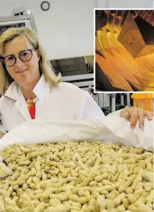  ?? BILDER: SN/SCHENKER ?? 350 Tonnen Erdnüsse werden im Unternehme­n von Christian und Petra Winzer jährlich verarbeite­t. In der neuen Infrarot-Anlage (kl. Bild) können die Nüsse nun direkt vor Ort geröstet werden.