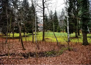  ??  ?? Die parkartige Struktur nördlich der Straße „An der Point“in Schondorf soll auch nach einer Bebauung erhalten bleiben. Im Gemeindera­t wurde nun erneut darüber beraten.
Archivfoto: Thorsten Jordan