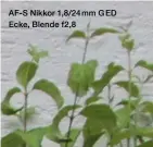  ??  ?? AF-S Nikkor 1,8/24mm GED Ecke, Blende f2,8