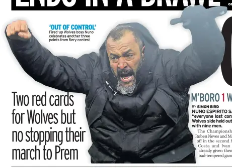  ??  ?? ‘OUT OF CONTROL’ Fired-up Wolves boss Nuno celebrates another three points from fiery contest