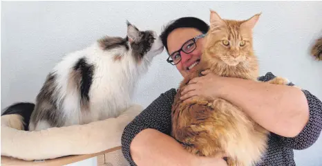 ?? FOTO: KERSTIN SCHWIER ?? Die beiden Maine-Coon-Katzen Gizmo (links) und Elliot lieben ihre Katzenmama Andrea Hermes.