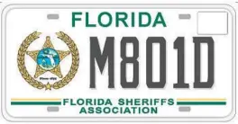  ?? FLORIDA HIGHWAY SAFETY AND MOTOR VEHICLES ?? Some Florida insurance companies are lobbying the Legislatur­e so they can issue license plates, registrati­ons and titles, the same as tax collectors. But there is no demonstrat­ed need for this, other than to benefit a special interest.