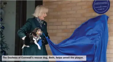  ??  ?? The Duchess of Cornwall's rescue dog, Beth, helps unveil the plaque.