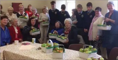  ??  ?? The apples picked by the Transition Year students at Gormanston College being delivered to the ‘Golden Girls’ active reitrement group in Stamullen.