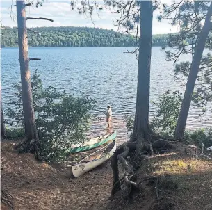  ?? CRISTEN CARSON PHOTO ?? Star reporter Marco Chown Oved on his first trip to Algonquin Park since he was a teen.