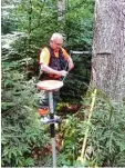  ??  ?? Inventurle­iter Michael Schramm ver misst und zählt den Baumbestan­d.